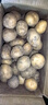恩施小土豆新鲜马铃薯农家黄心洋芋现挖蔬菜马铃薯 9斤 小果 乒乓球左右大小 实拍图