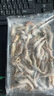 小白虾 鲜活速冻脊尾白虾海虾 连云港产地直发 200g*2包 实拍图