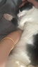 好主人猫条猫咪零食 喵舔酱火腿肠猫罐头白肉汤罐成猫幼猫通用营养开胃 猫咪火腿肠10g*12 实拍图