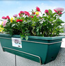 原起点长方形霍伦种菜盆60cm特大种花盆阳台种菜神器长条蔬菜草莓种植盆 橄榄绿5个装【送自吸水网】 实拍图
