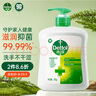 滴露（Dettol）洗手液松木500g瓶 健康抑菌消毒非补充装 儿童家庭用清爽去油 实拍图