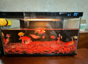 小米米家智能鱼缸客厅小型造景生态家用背景超白玻璃桌面循环自动喂食 小米智能鱼缸+50W加热棒 实拍图