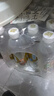 依能 西柚味 无糖无汽弱碱苏打水饮料 500ml*24瓶 塑膜装 饮用水 实拍图