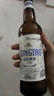 青岛啤酒（TsingTao）精酿白啤 全麦酿造 330ml*12瓶 整箱装 实拍图