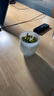 京东京造 2025新茶安吉白茶绿茶100g茶叶罐装自己喝送礼袋自营鲜 实拍图