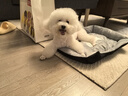 憨憨乐园 宠物猫窝狗窝M猫咪睡袋猫房子幼犬床秋冬大型泰迪四季垫子通用款 实拍图