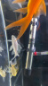 SUNSUN森森鱼缸水族箱加热棒100W自动恒温乌龟缸鱼缸加温棒加热器 实拍图