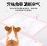 COCOYO宠物尿垫猫狗尿片尿垫狗狗训导尿片隔尿垫M码60*45cm/50片 实拍图