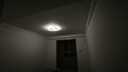 鹿家良品（LUUGAA）花卷卧室吸顶灯现代简约卧室灯儿童房led灯书房全光谱护眼灯具 【荐】全光谱44cm无极光51W智能联动 实拍图