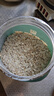 西麦有机胚芽燕麦片桶装800g 家庭装高蛋白质营养早餐0添加蔗糖 实拍图