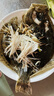 鲜活多宝鱼450-550g/条 实拍图