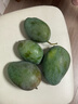 京鲜生 攀枝花凯特芒果 净重4.5斤 带箱5斤 单果400g+ 生鲜水果源头直发 实拍图