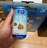 露露杏仁露经典款180ml*12罐礼盒 口袋装乳糖不耐杏仁奶便携出游聚餐 实拍图
