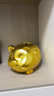 礼佳诚 金猪存钱罐大号创意萌猪纸币储蓄罐成人生日礼物陶瓷招财猪摆件 DC金猪储蓄罐10寸 实拍图