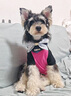 麦富迪狗粮 barf霸弗天然狗粮成幼犬粮冻干粮比熊贵宾养胃益肠混合8kg 实拍图