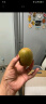 佳沛（zespri）新西兰  金果10粒猕猴桃礼盒巨大果单果144-175g 端午节水果礼盒 实拍图