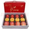 洛川苹果陕西延安红富士时令苹果水果礼盒礼品苹果生鲜新鲜脆甜整箱好吃 三果色混装 轻奢礼盒 12枚 净重5.7斤 实拍图