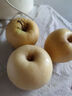 甜醉了 奶油富士脆甜烟台苹果黄金富士山东水果栖霞红富士应季丑苹果 净重8.5斤75-80mm 实拍图