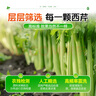 舒元康芹菜汁100%西芹汁果蔬菜汁有机田野NFC鲜榨无糖饮料0糖0脂肪可搭通肠胃轻断食液体沙拉西芹菜籽 实拍图