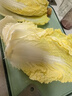 【高原夏菜】翡翠褶大白菜1.2kg 实拍图