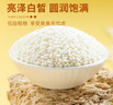 十月稻田 糯米 5斤（黏米江米 粽子米 东北 五谷杂粮 粥米伴侣 端午节） 实拍图