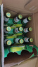 青岛啤酒（TsingTao）经典啤酒 600ml*12瓶 升级大容量 整箱装 实拍图