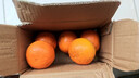 云南宾川高山沃柑纯甜沃柑树上熟新鲜橙子生鲜应季新鲜孕妇水果 带箱500g大果【果径65-70mm】 实拍图