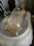 华元宠具（hoopet）猫碗双碗自动饮水碗猫咪猫粮食盆宠物狗狗碗不锈钢饭盆猫喝水喂食 实拍图