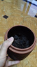 三隐  茶叶普洱茶熟茶云南勐海七子饼原料2017年老班章古树老茶饼357g 实拍图