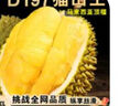 松筱马来西亚猫山王榴莲D197冷冻液氮新鲜水果顺丰快递礼盒装 A+特级果4.1-4.6斤 【1到2个果】 【人工精选+包熟包甜包房】 实拍图