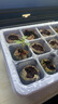 寿禾 穴盘育苗盘育苗盒带排气阀透气 潍育育苗盒白色12穴+12个育苗块 实拍图