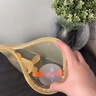 新安怡（AVENT）飞利浦新安怡硅胶袋婴儿密封袋餐具奶瓶奶嘴收纳包宝宝外出食品袋 实拍图