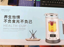 生活元素（LIFE ELEMENT）养生壶 迷你煮茶器 煮茶壶煎药壶电茶壶烧水壶电热水壶养生杯0.6L智能I13-H02 实拍图