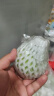 思卓（SIZHUO）红心软芭乐整箱5斤 番石榴新鲜应季水果健康轻食土巴乐软糯甜心脆 白芭乐软糯净重4.8斤装 实拍图