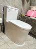东鹏（DONGPENG）十大品牌马桶坐便器大冲力虹吸静音连体座便器小户型马桶 【升级版W6391A05】 300坑距 实拍图