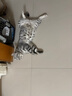 联想（Lenovo）小新 K1P 轻音无线98键鼠套装 果冻触感机械回弹 多快捷键 3档DPI windows通用 月慕白 实拍图