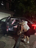 九号（Ninebot）电动滑板车成年人便携代步折叠E2Pro智能电动车学生10英寸大轮胎防滑真续航 实拍图