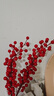 花点馨意冬青发财果仿真花装饰摆件红果新年宵花卉假花餐桌插花6叉2支5189 实拍图