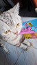 多特思（DOTUS）猫零食猫条混合口味15g*100支0添加0诱食剂成幼猫咪零食罐头湿粮 实拍图