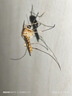 雷达（Raid）基孔肯雅热电蚊香液112晚2瓶装 +1器 无香型 超市同款 实拍图