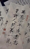 【3盒装】仲景 玉屏风口服液颗粒10ml*12支 益气固表止汗 自汗恶风体虚易感风邪 含黄芪防风白术（0添加剂）OTC疗效险 实拍图