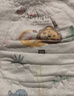 蓓趣（Berlquer）丛林之王医护级一体拉拉裤倍趣尿不湿纸尿裤男女宝宝透气干爽不闷 一体裤XL一包(48片) 实拍图