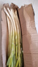 抢到就是赚】正宗山东大葱新鲜农家自种分葱长葱小细葱脆香葱甜葱 5斤去皮大葱 2500g 实拍图
