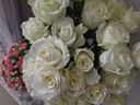 云南鲜花批发品质玫瑰百合水养鲜切花送女友生日礼物源头直发 白玫瑰-10支【轻微折痕属于正常现象】 【任选2件—不收运費】 实拍图