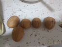 西域美农 薄皮核桃500g 新疆特产深色核桃 原味无漂白每日坚果孕妇零食 实拍图