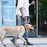 多尼斯（DOGNESS）狗狗牵引绳遛狗绳狗链子项圈小中型犬泰迪柯基法斗博美马犬 黑M 实拍图