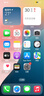 【已验机】Apple iPhone 11Pro 苹果11pro 苹果11promax 【苹果11Pro Max】 256G 实拍图