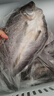鲜活人生白蕉开背海鲈鱼无水净重500g*2条七星海鲈鱼生鲜深海鱼 实拍图