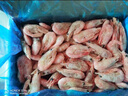 美加佳熟冻北极甜虾腹籽净重3斤 90/120规格  海鲜水产 熟冻甜虾 实拍图