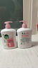 滴露（Dettol）洗手液滋润500g*6 抑菌洗手液家庭装大桶儿童消毒无酒精温和护手 实拍图
